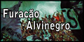 Furac�o Alvinegro
